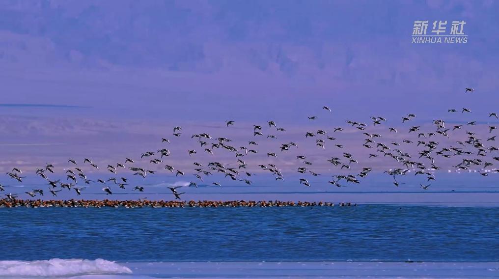 秀我中國｜青?？婶斂撕叭绠?></a></li><li style=