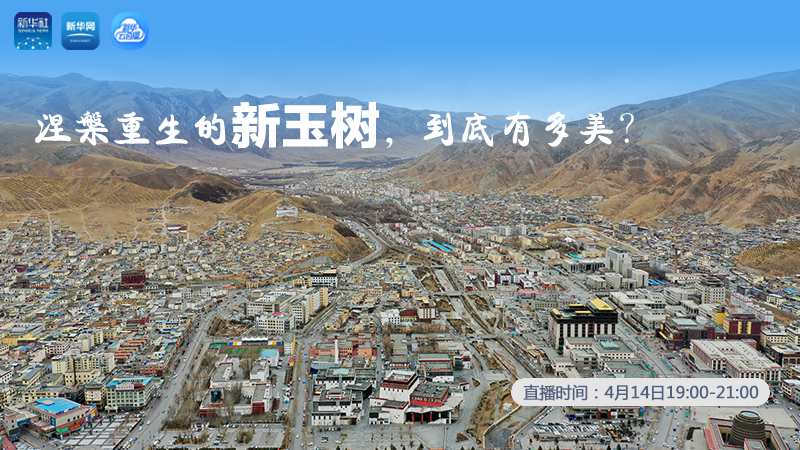 涅槃重生的新玉樹，到底有多美？