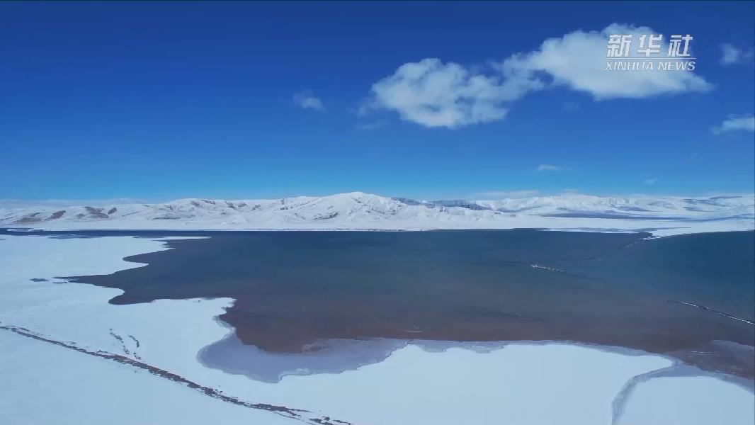 青?，敹啵憾喾N珍稀野生動物亮相黃河源頭